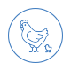 hen with chick icon